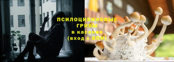хмурый Абинск