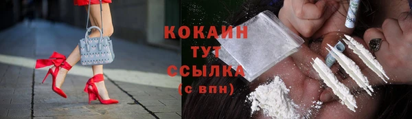 крисы Сатка