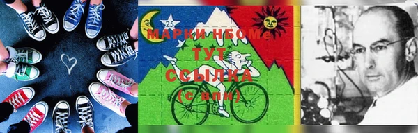 крисы Сатка