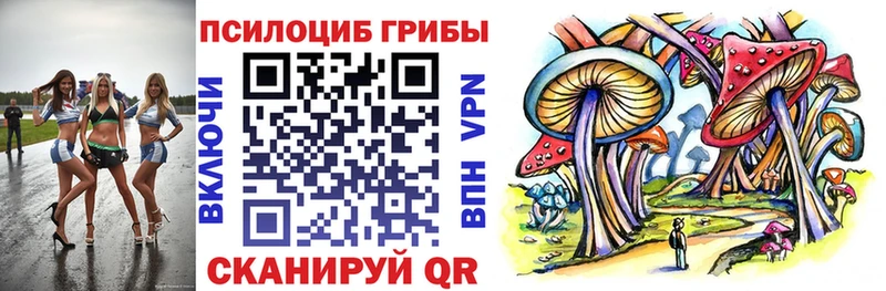 kraken ONION  Киренск  Галлюциногенные грибы Psilocybine cubensis  даркнет сайт 